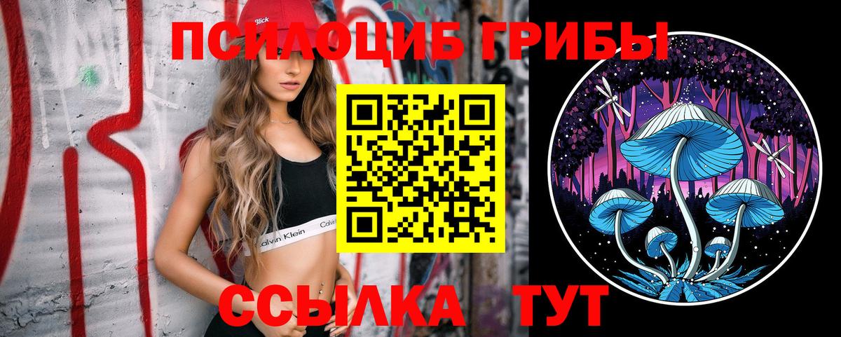 Сатка  Псилоцибиновые грибы прущие грибы  Галлюциногенные грибы MAGIC MUSHROOMS  Вход с VPN 